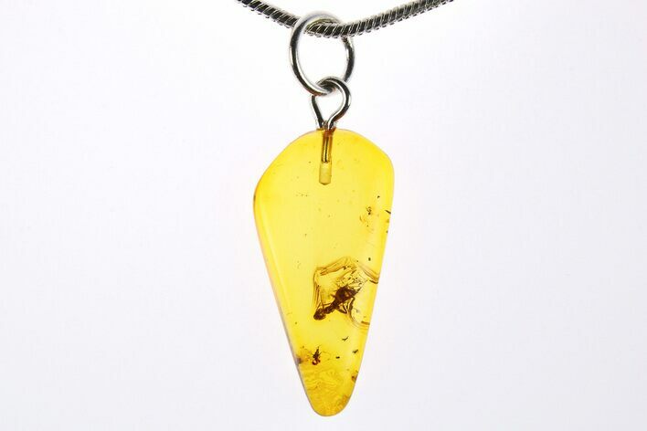 Polished Baltic Amber Pendant (Necklace) - Contains Fly & Ant! #273481